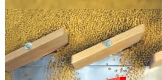 Increase in soybean prices after stock limit removal