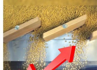 Increase in soybean prices after stock limit removal