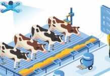 Uberizing the Indian dairy sector