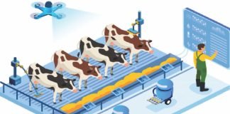 Uberizing the Indian dairy sector