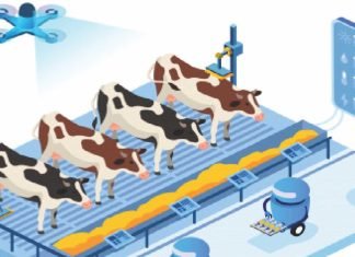 Uberizing the Indian dairy sector