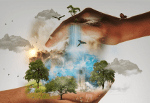 Feed ingredients can contribute to global methane pledge by 2030