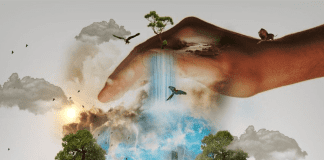 Feed ingredients can contribute to global methane pledge by 2030