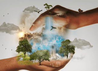 Feed ingredients can contribute to global methane pledge by 2030