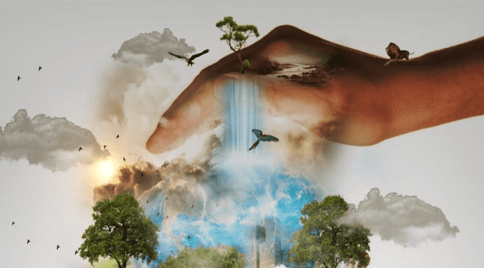 Feed ingredients can contribute to global methane pledge by 2030