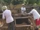 Artificial Insemination for better milk production in UP
