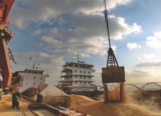 India may import lesser soybean in 2022-23