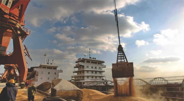 India may import lesser soybean in 2022-23