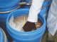 Mango pulp & poultry feed