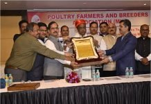 National Chicken Day Report