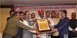 National Chicken Day Report