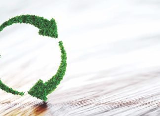 Protein from green waste in Africa