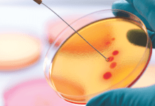 Report: Anti-microbial resistance analysis in Indian Aquaculture