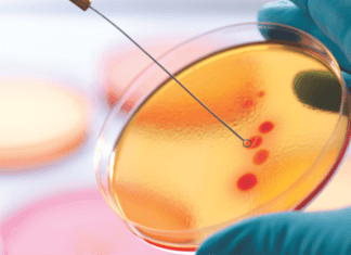 Report: Anti-microbial resistance analysis in Indian Aquaculture