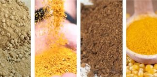 Indian Mycotoxin Survey