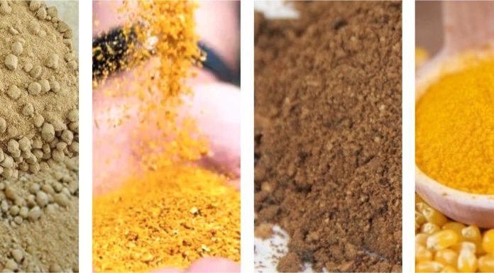 Indian Mycotoxin Survey