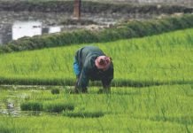 Famers hoping for withdrawal of trade ban on exchange
