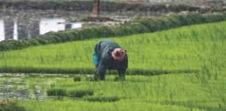 Famers hoping for withdrawal of trade ban on exchange