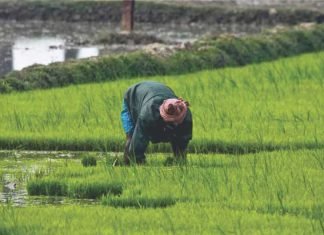 Famers hoping for withdrawal of trade ban on exchange