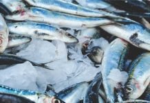 Technological innovations from CIFT can support the Aqua & Poultry sectors