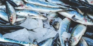 Technological innovations from CIFT can support the Aqua & Poultry sectors