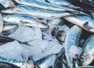 Technological innovations from CIFT can support the Aqua & Poultry sectors