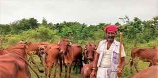 Kerala Takes Steps to Decrease Prices of Cattle Feed & Increase Its Availability to Dairy Farmers