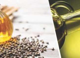 Exports of Indian oilmeal records spike, rise 150% in Nov
