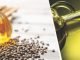 Exports of Indian oilmeal records spike, rise 150% in Nov
