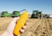 USGC Weekly Price Report for week ending 23 Dec 2022