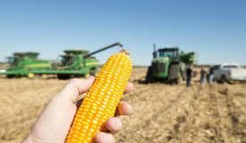 USGC Weekly Price Report for week ending 23 Dec 2022