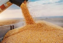 USGC Weekly Price Report for week ending 30 Dec 2022