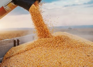 USGC Weekly Price Report for week ending 30 Dec 2022