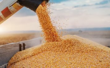 USGC Weekly Price Report for week ending 30 Dec 2022