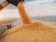 USGC Weekly Price Report for week ending 30 Dec 2022