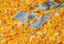 USGC Weekly Price Report for week ending 06 Jan 2023