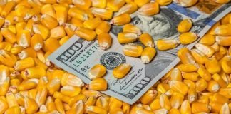 USGC Weekly Price Report for week ending 06 Jan 2023