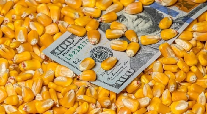 USGC Weekly Price Report for week ending 06 Jan 2023