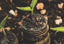 Animal nutrition firm raises seed funding from Omnivore