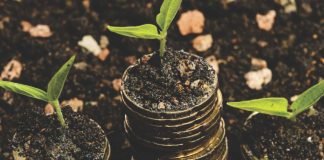 Animal nutrition firm raises seed funding from Omnivore