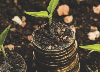Animal nutrition firm raises seed funding from Omnivore