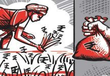 PAU on the economics of maize sowing in Punjab