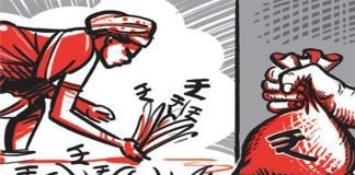 PAU on the economics of maize sowing in Punjab