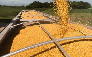 Brazil, U.S., Ukraine, Australia Grain Exports, and China Growth, in Focus