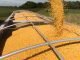 Brazil, U.S., Ukraine, Australia Grain Exports, and China Growth, in Focus