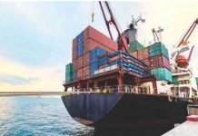 Indian corn exports report