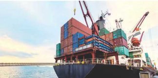 Indian corn exports report