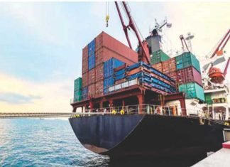 Indian corn exports report