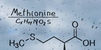 Evonik invests €25m in methionine intermediates production plant upgrade in Wesseling/Germany