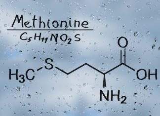 Evonik invests €25m in methionine intermediates production plant upgrade in Wesseling/Germany